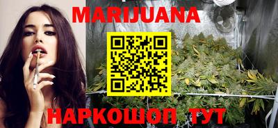 mdpv Славгород